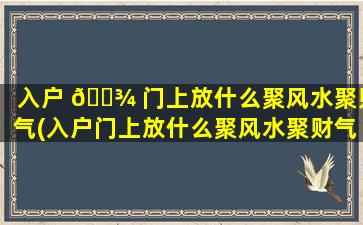 入户 🌾 门上放什么聚风水聚财气(入户门上放什么聚风水聚财气 🪴 zui
好)
